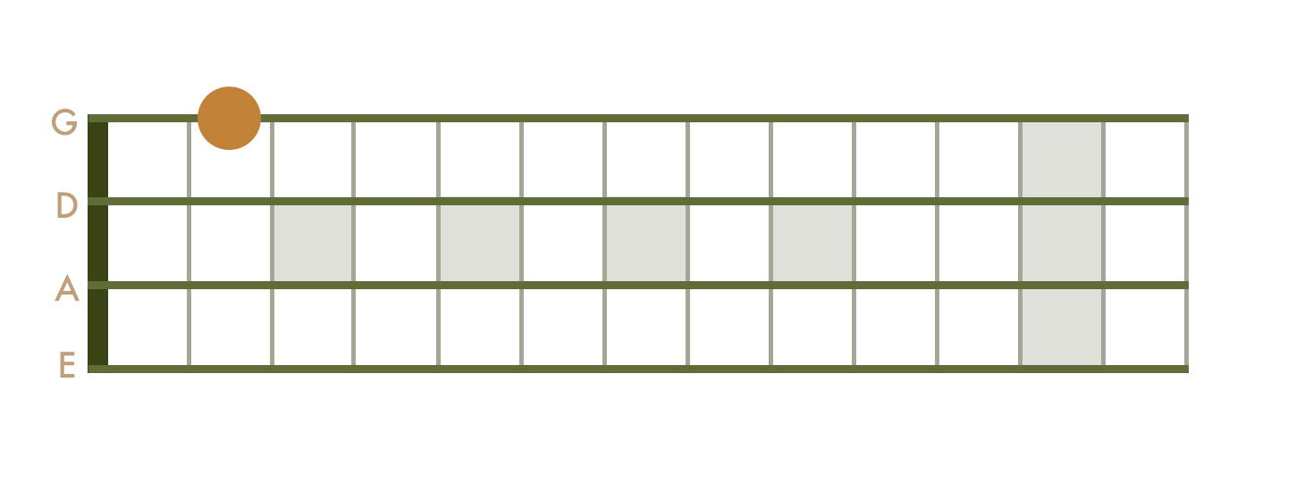 <p>2nd Fret - G String</p>