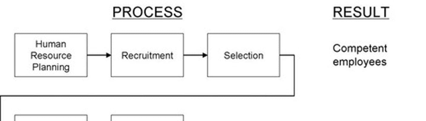 <p>Translating corporate objectives into staff requirements and ensuring the right number of people with the right skills are in place.</p>