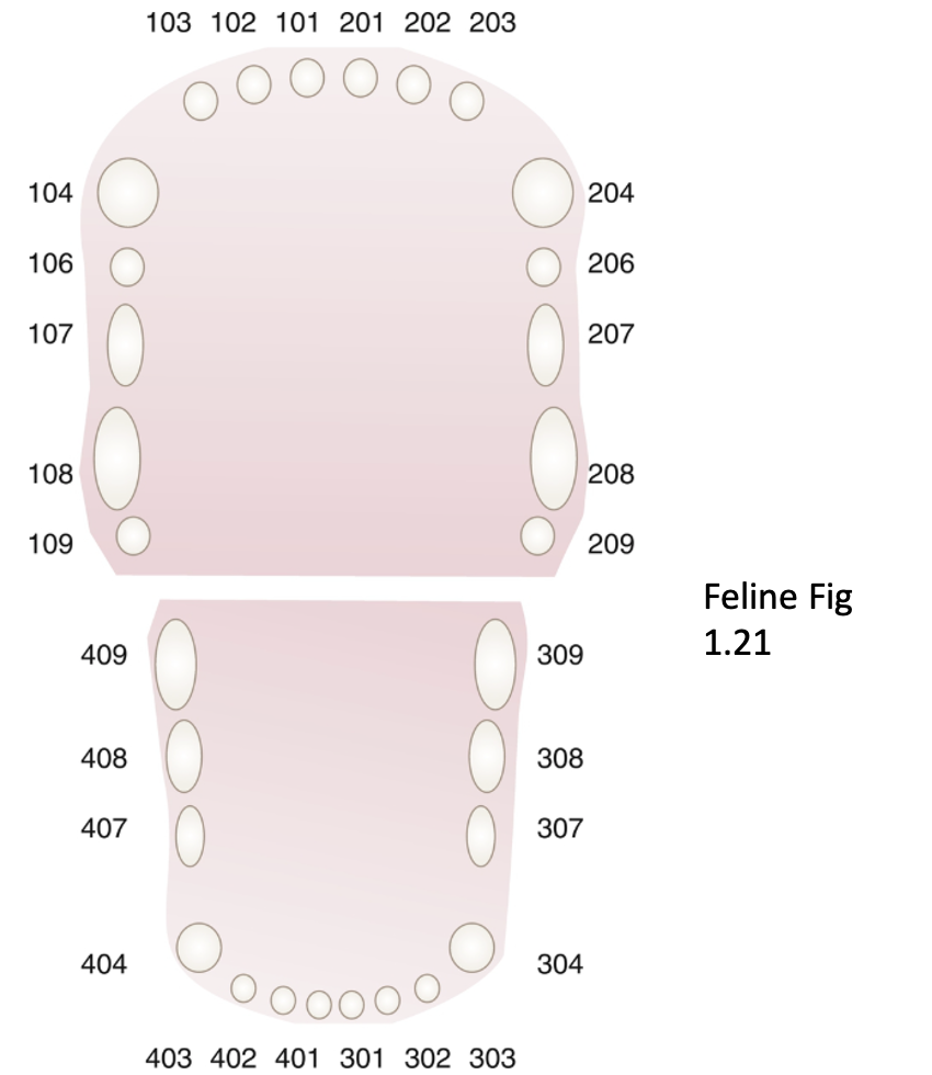 <p>Systematic recording of a patient’s dental history, disease progression, and treatment; also a <u>legal document.</u></p>
