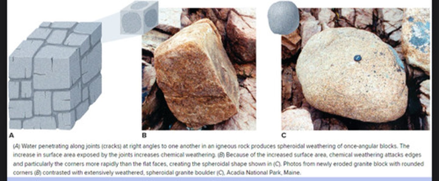 <p>occurs where rock has been rounded by weathering from an initial blocky shape. Chemical weathering occurs more rapidly at the corners than along the edges</p>