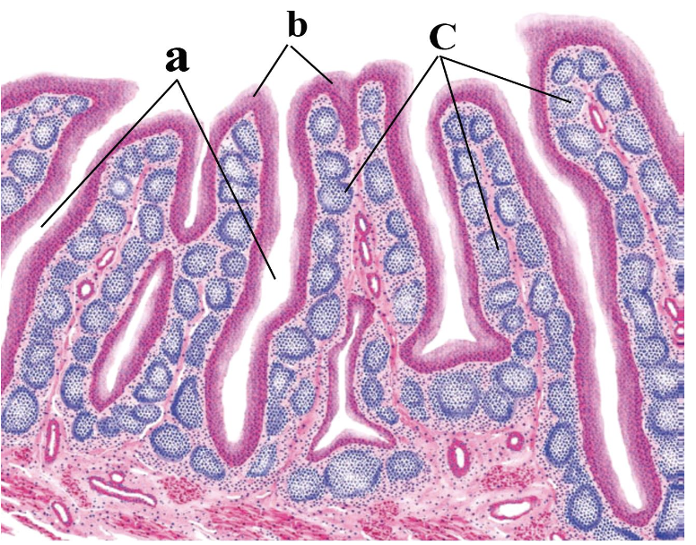 <p>A? B? C ? </p>