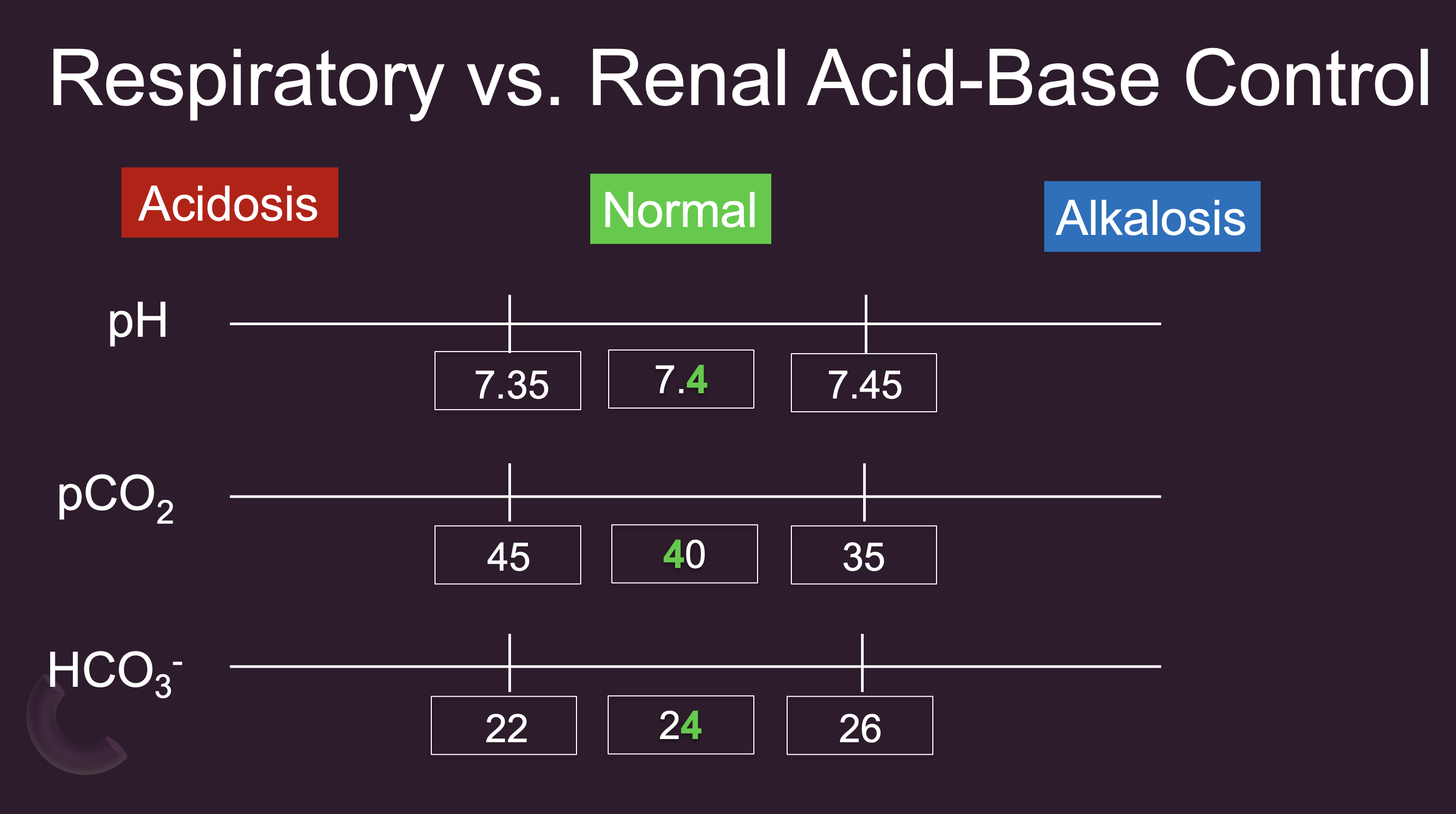<p>Respiratory vs. Renal Acid-Base Control</p>