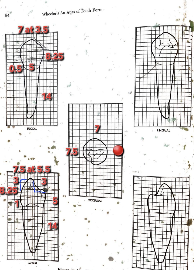 knowt flashcard image