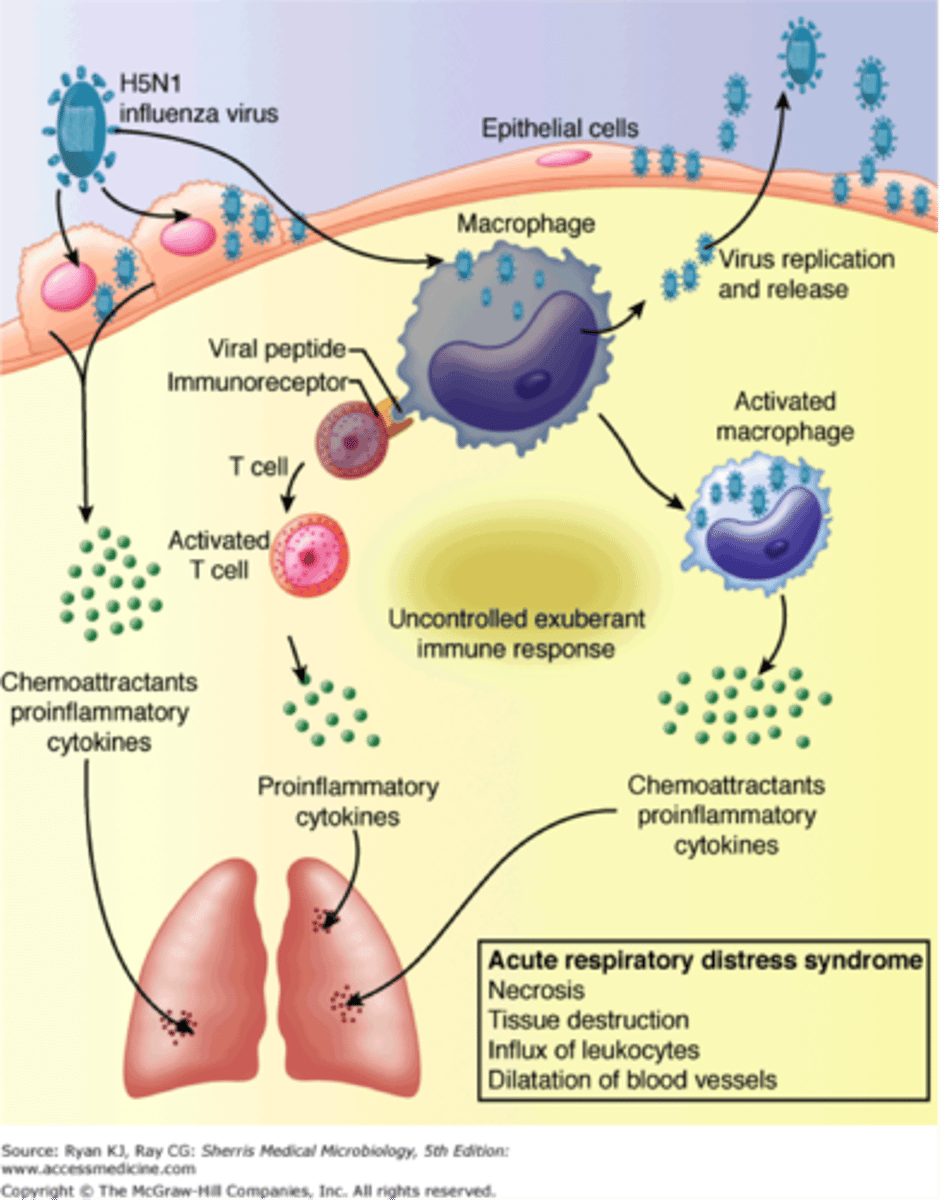 <p>A potentially fatal immune reaction caused by highly elevated levels of pro-inflammatory cytokines</p>