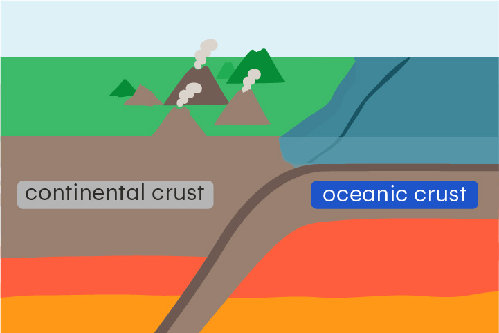 <p>Crust that lies beneath an ocean</p><p>Oceanic crust is about 5–10 km thick and is made up of basalt, a dense volcanic rock.</p>