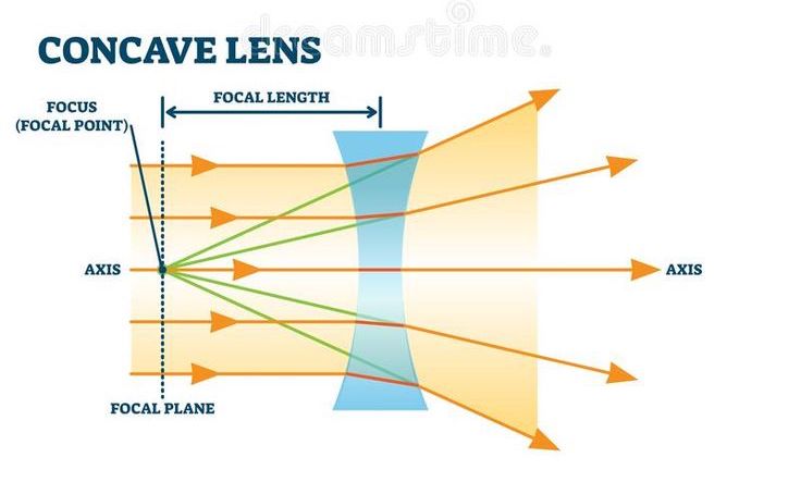 <p>make light rays <strong>diverge</strong>, thinner in the middle<br>always make images seem smaller than reality.</p>