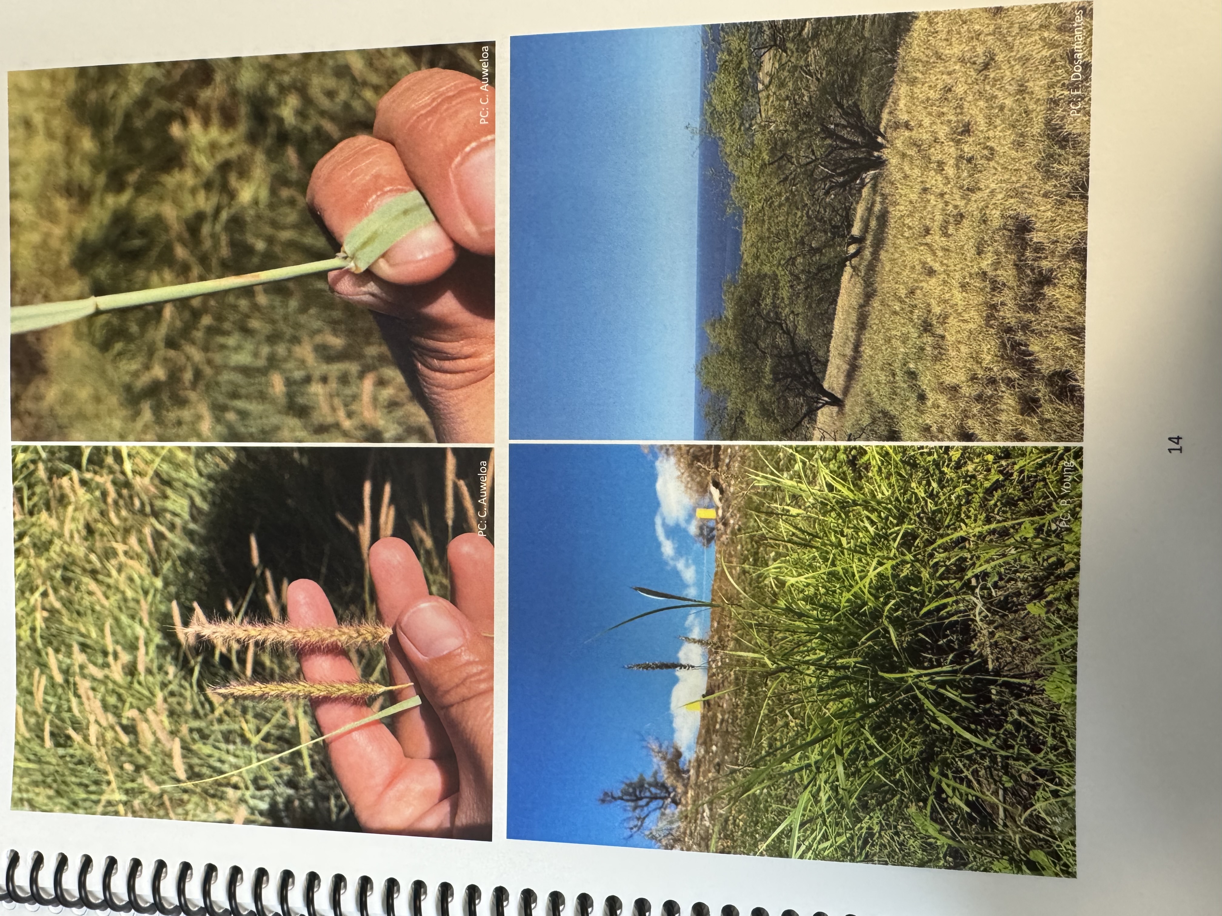 <img src="blob:null/4351bbdb-12e6-4542-84e1-94e4d0cd8f4b"><p></p>