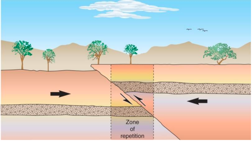 <p>A fault in which the hanging wall moves up relative to the footwall. Compressional setting, hanging wall moves up.</p>