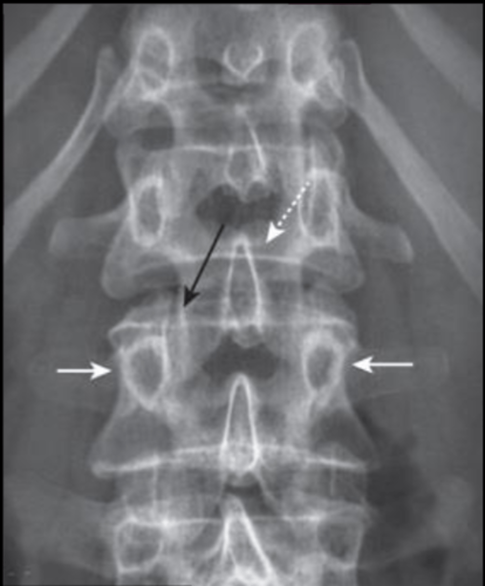 <p>Please identify</p>