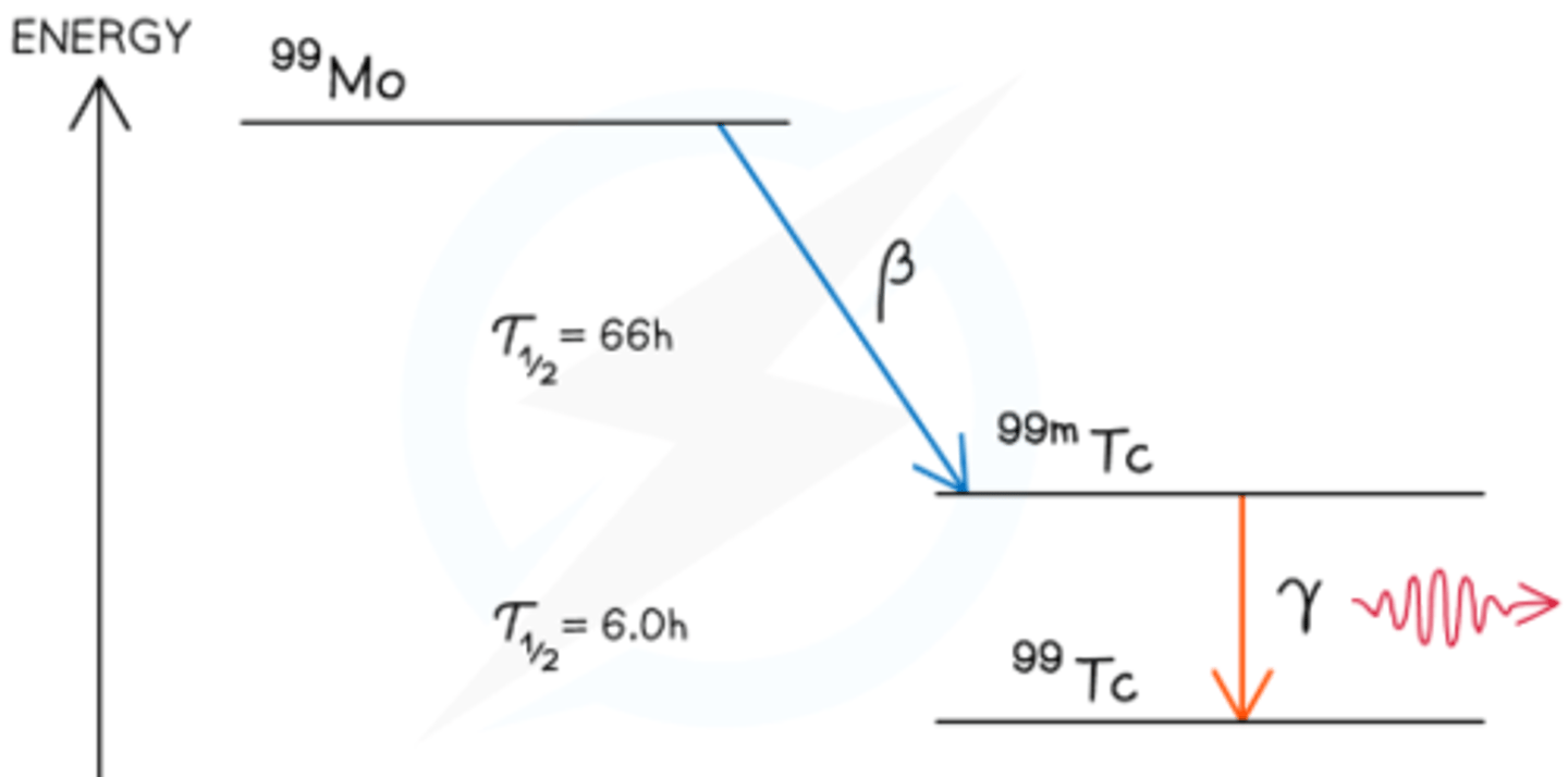 <p>- A technetium generator contains molybdenum-99, which decays into metastable technetium-99m via β⁻ emission</p><p>- 99mTc has a half-life of 6 hours and decays to its ground state by emitting γ radiation</p><p>- Used in medical diagnostics to monitor blood flow or image internal organs/bones, like locating bone deposits using 99mTc phosphate tracers</p>