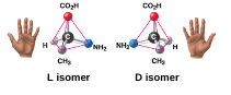 <p>Isomers that are mirror images or each other</p>
