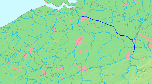 term image