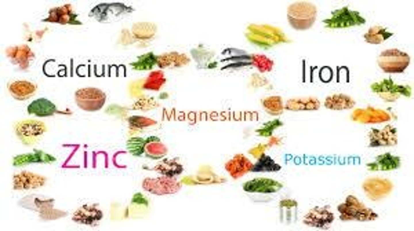 <p>Mineral that helps carry oxygen through blood and supports the immune system, found in meat, poultry, beans, fortified grains</p>