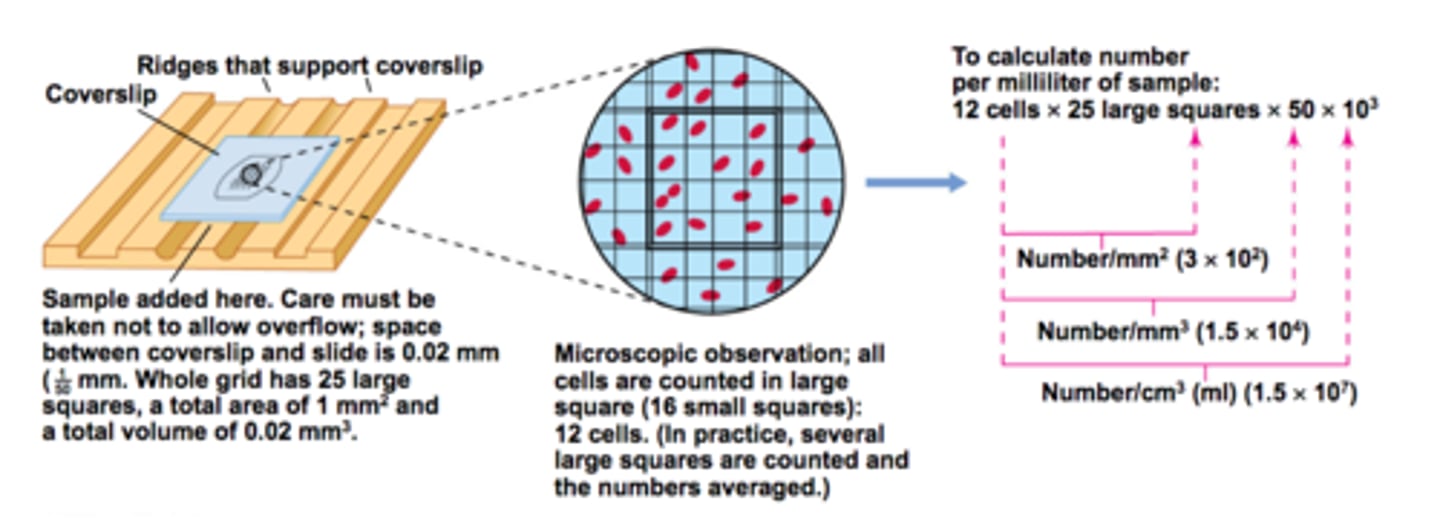 <p>A haemocytometer (a glass slide with a grid etched on) is placed on a slide which has been dyed with trypan blue which stains dead cells blue<br><br>Bacteria cells=number counter x10^4 per cm^3<br><br>Only counts viable cells</p>