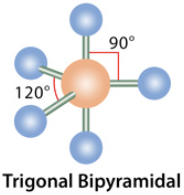 <p>electron domain: trigonal pyramidal</p>
