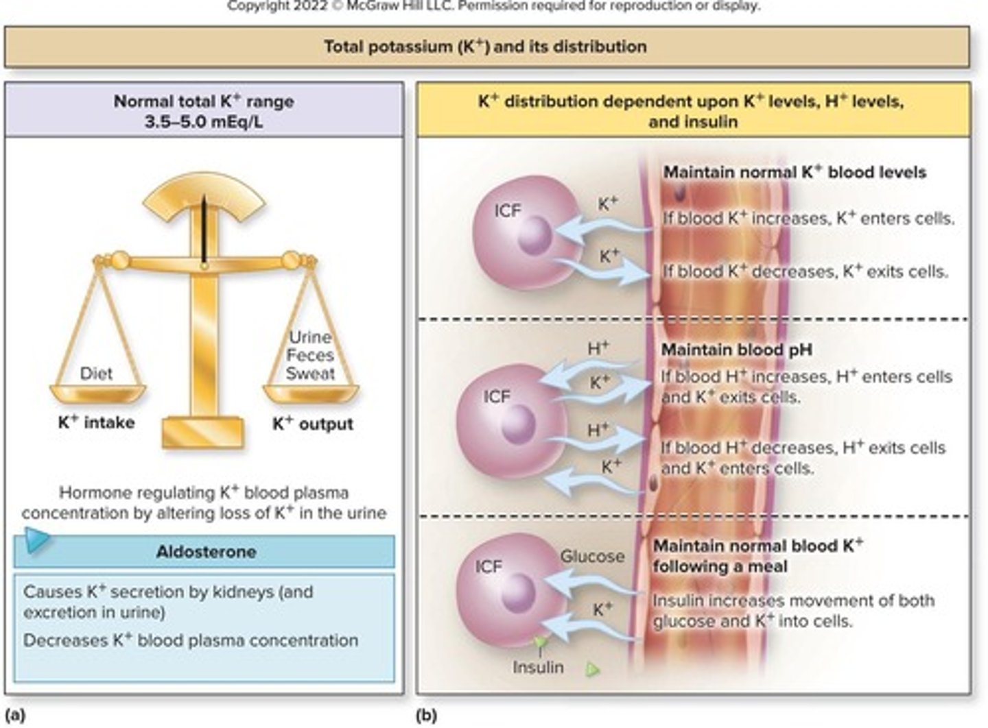 <p>Above normal sodium levels in blood.</p>