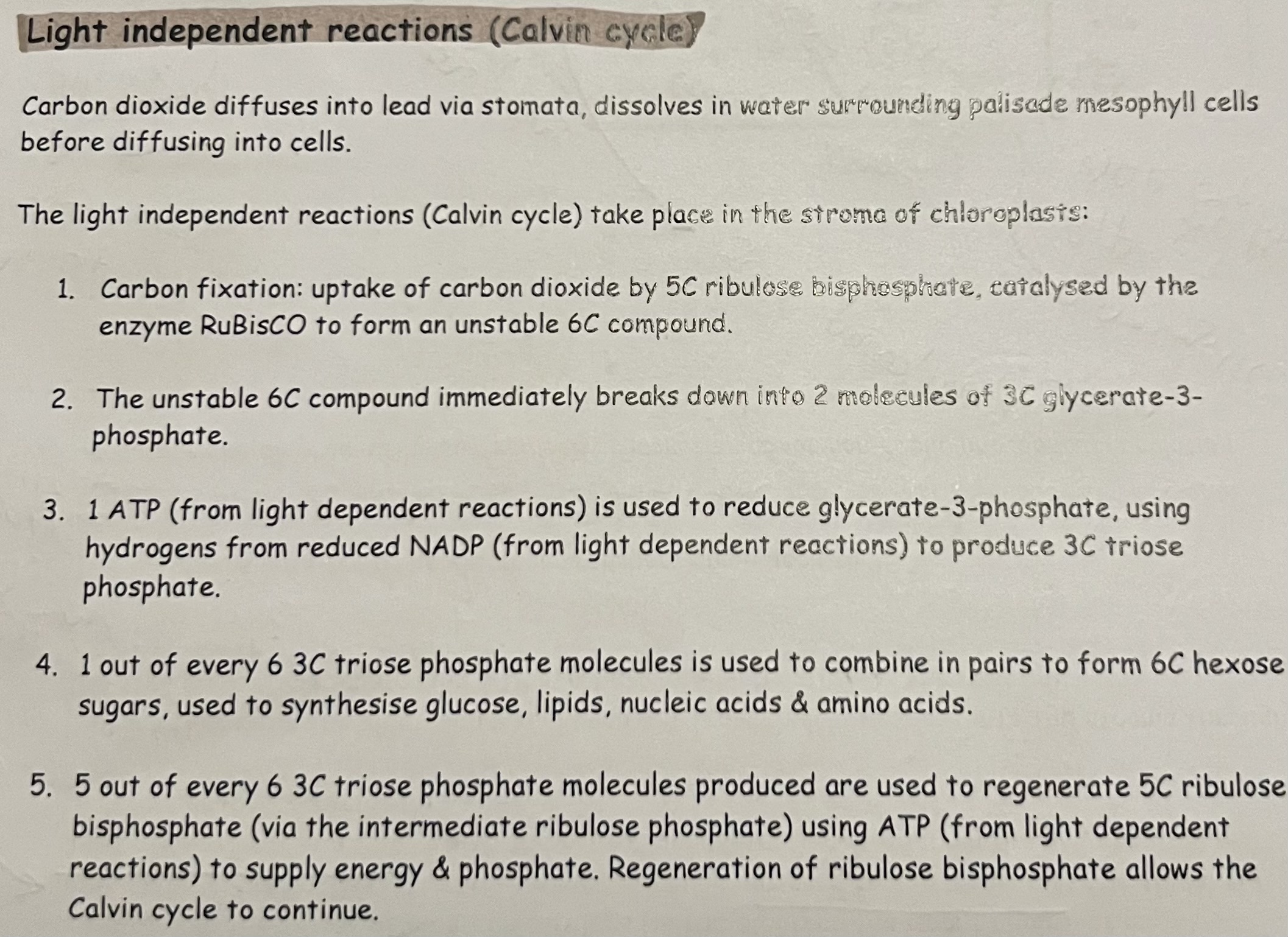 knowt flashcard image