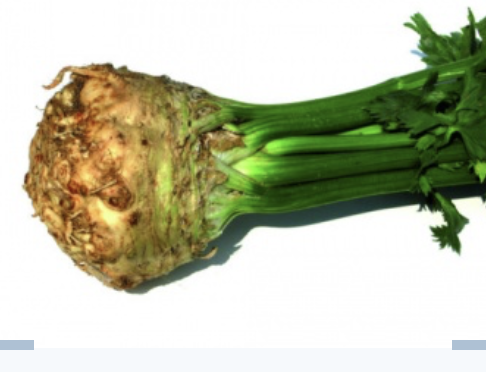 <p>celery</p>