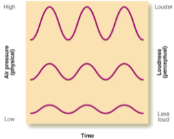 <p>the difference in pressure between the high and low peaks of the sound wave (determines loudness).</p>