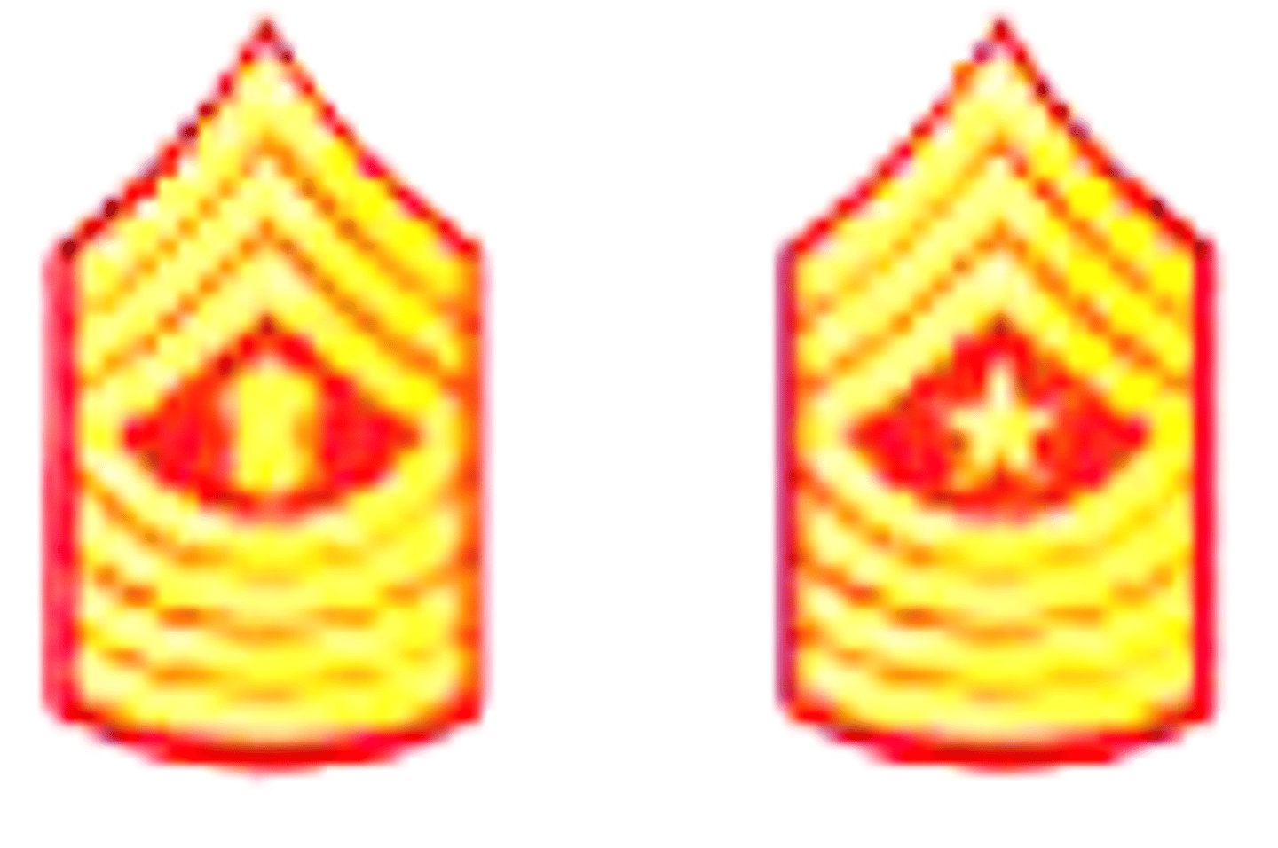 <p>3 Chevrons with 3 rockers and a diamond in the center</p>