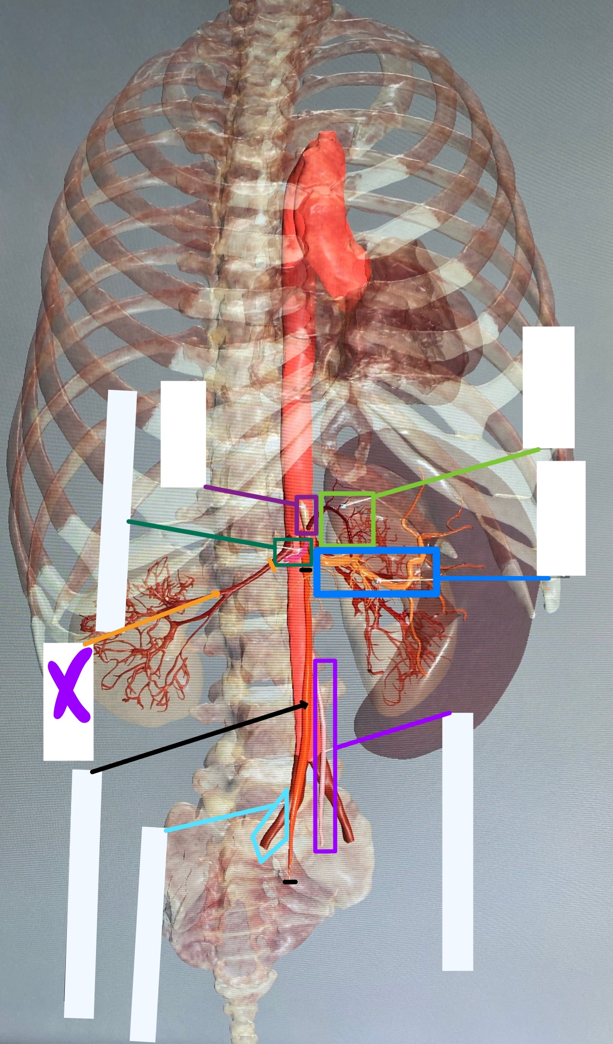 knowt flashcard image