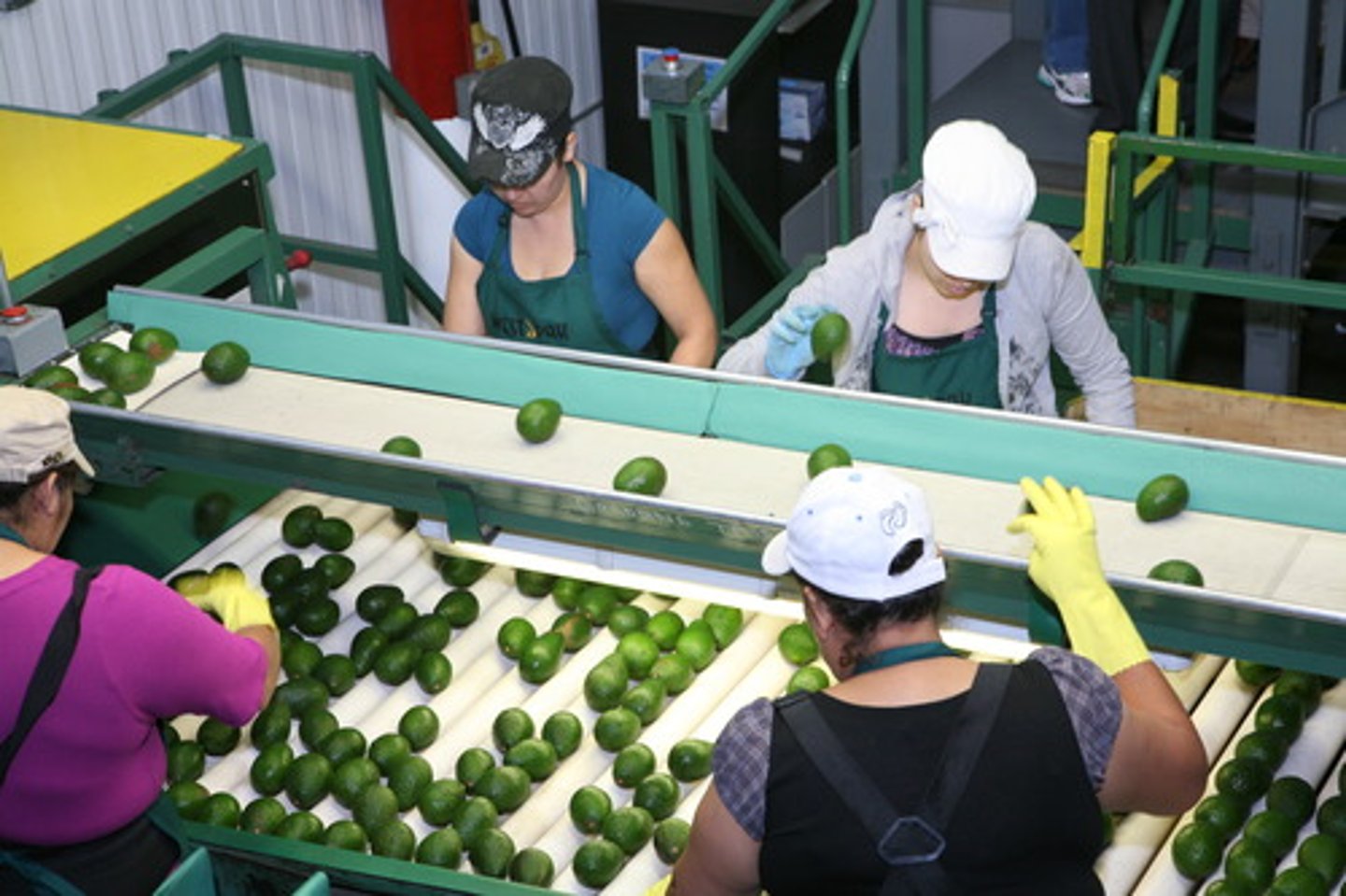 <p>the use of inspections at various points in the production process to check for problems and defects</p>