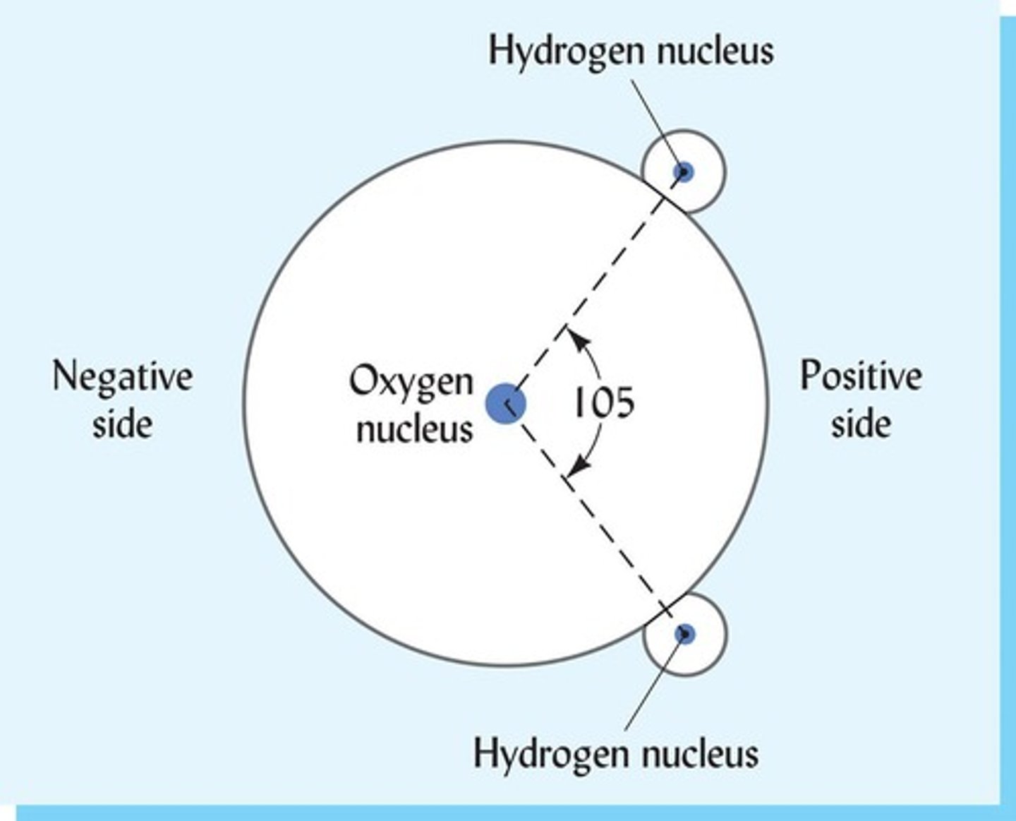 <p>+ attracts to − between water molecules.</p>