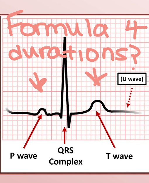<p>Formula??</p>