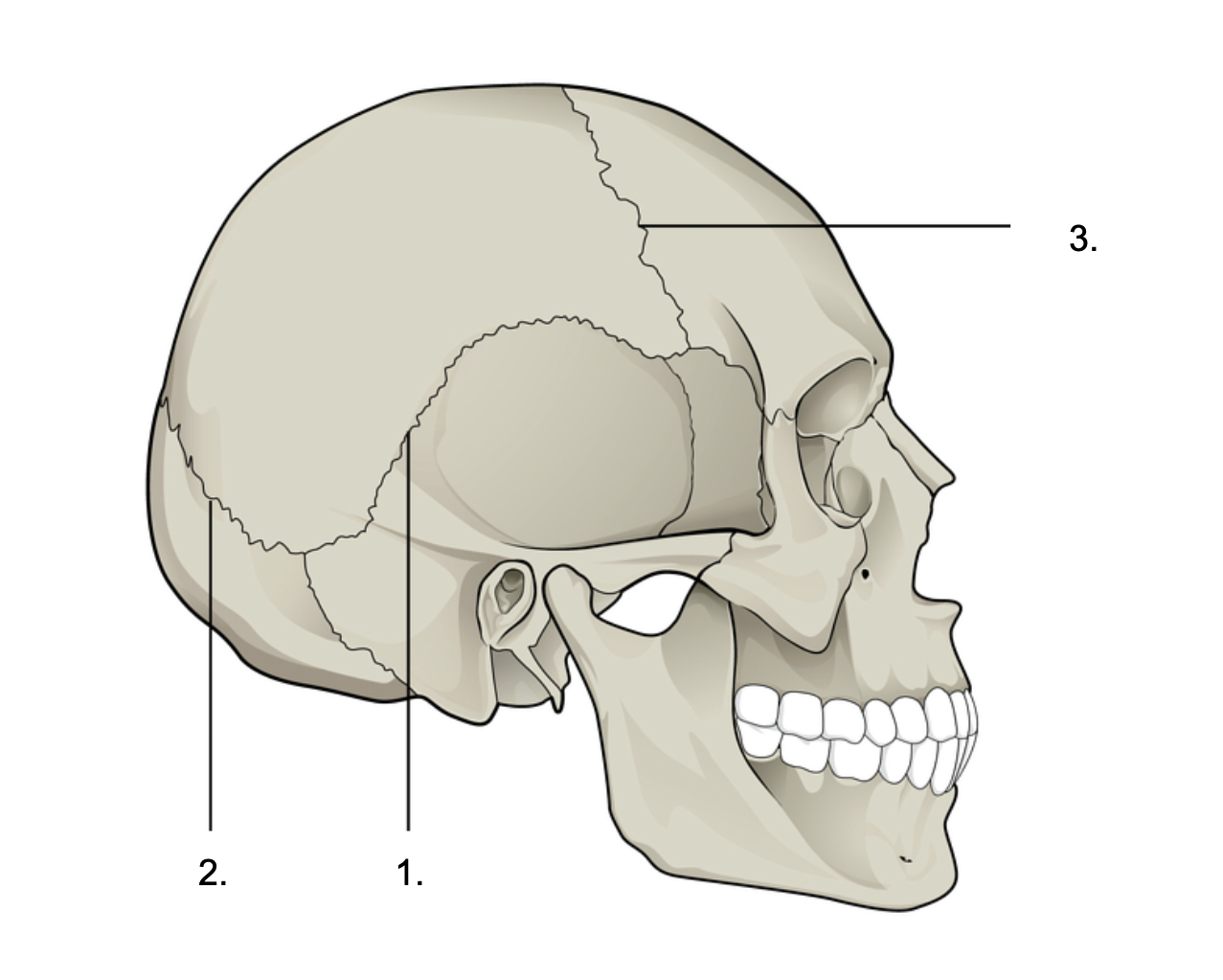 <p>What is 1?</p>