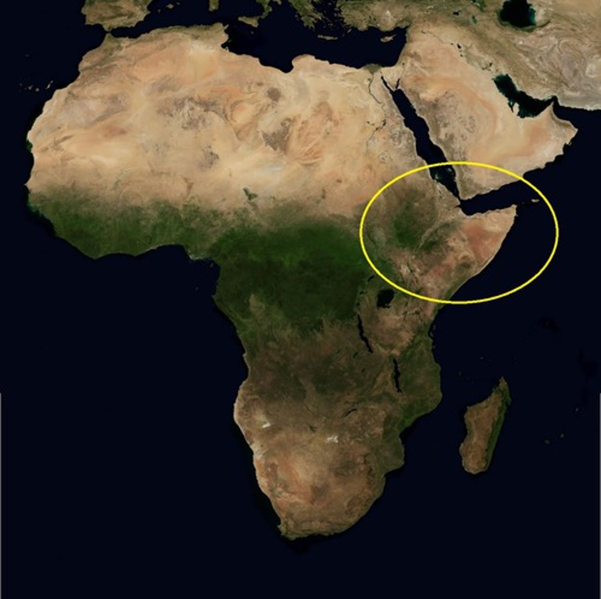 <p>a peninsula of northeastern Africa (the easternmost part of Africa) shaped like a horn that includes Somalia, Djibouti, Eritrea and parts of Ethiopia</p>