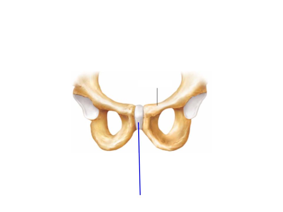 <p>What is this image pointing at? </p>