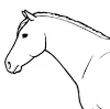 <p>Demonstrate where you would feel the transverse facial artery and the facial (orsubmandibular) artery on a horse.</p>