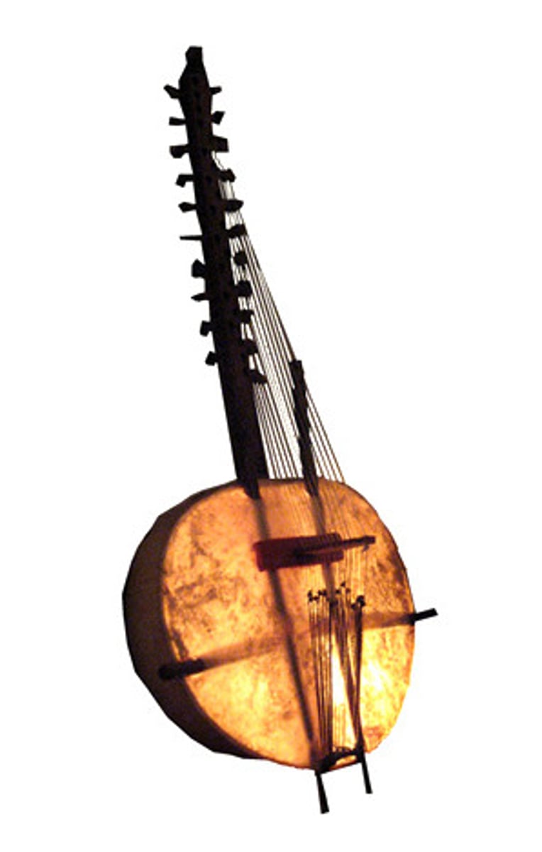 <p>a harp-lute with 21 strings (arranged in two parallel rows perpendicular to the skin face of the gourd sound box) and with a range of over three octaves</p>