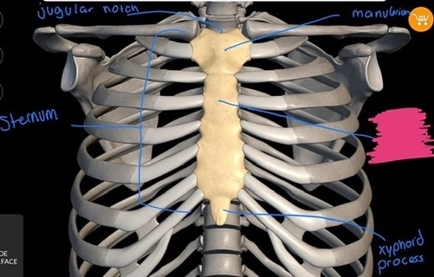 knowt flashcard image