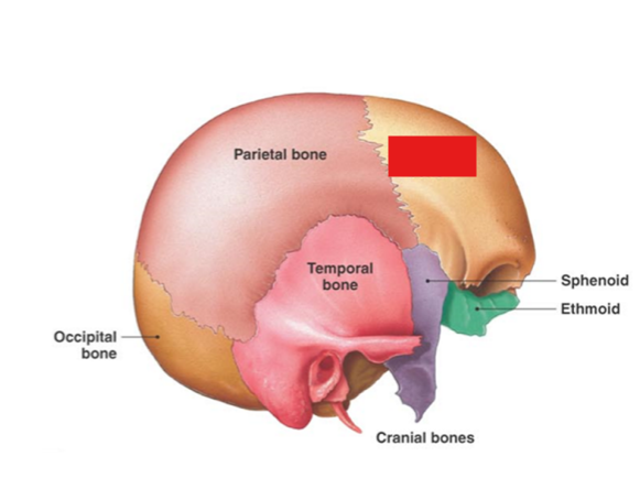 <p>Fill in the red box:</p>