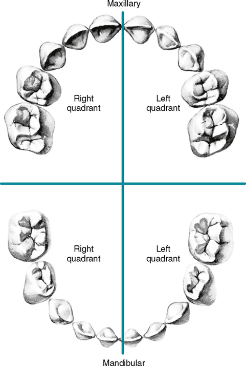 <p>5 </p>