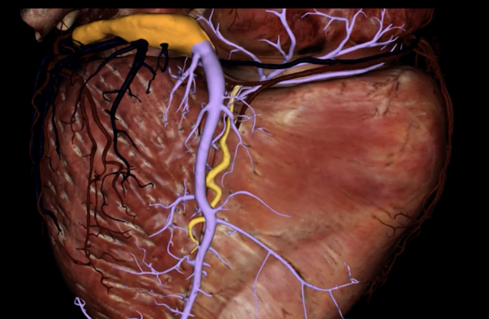 <p>What is highlighted in orange?</p>