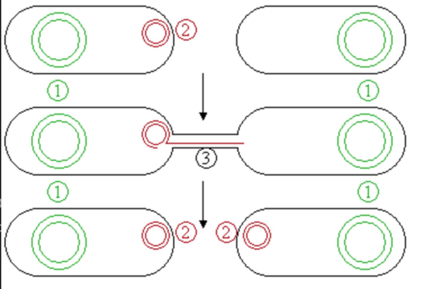 <p>transfer genes to neighboring cells that are not genetically similar</p><p>ex) Mrs byzon passing her traits to her students</p>