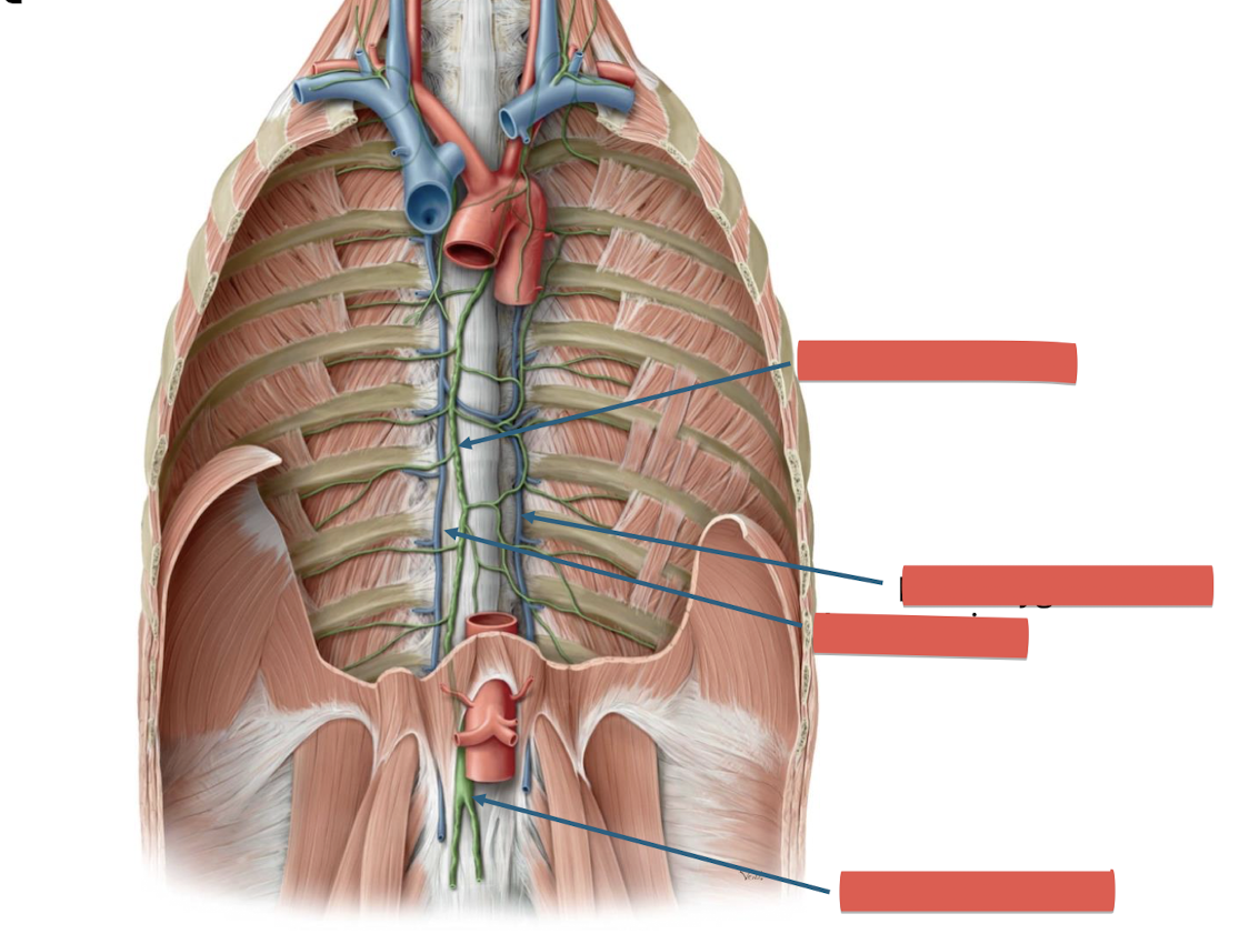 <p>Fill in the blank </p>