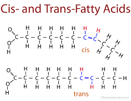 <p>"Cis isomer: H's are on same side<br><br>Trans isomer: H's are on opposite sides<br>- synthetic<br>- solid at room temp cus it has a straight shape <br><br><img alt=""What is the difference in cis and trans type of fatty acids: which one is better and what should be avoided ? | ResearchGate"" src=""images.png"">"</p>