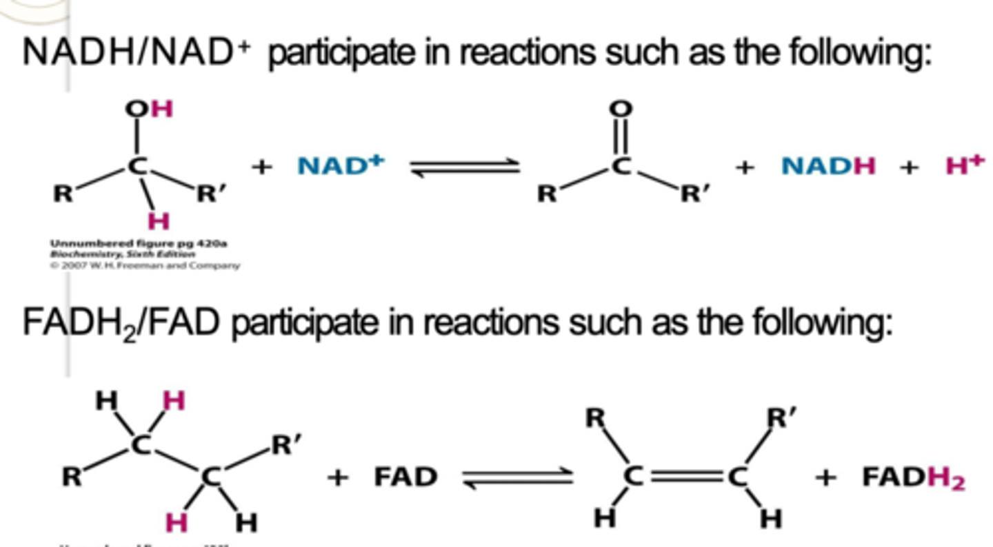 <p>NADH/NAD+ and FADH2/FAD</p>