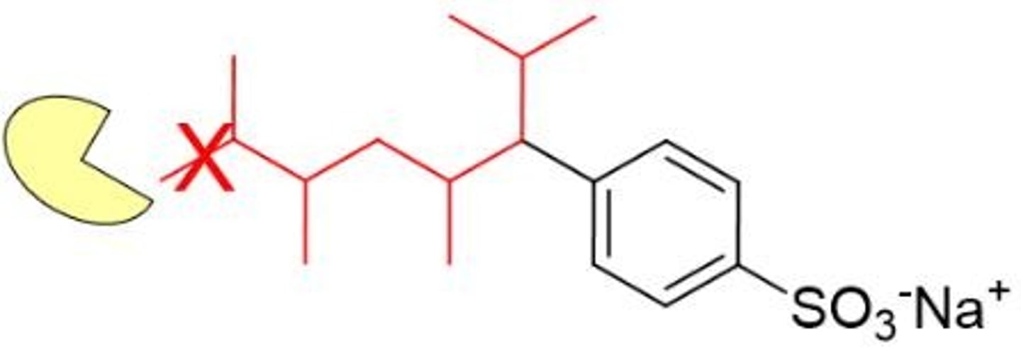 <p>Branched Alkyl Benzenesulfonates which have a branched chain that is harder for nature to degrade.</p>