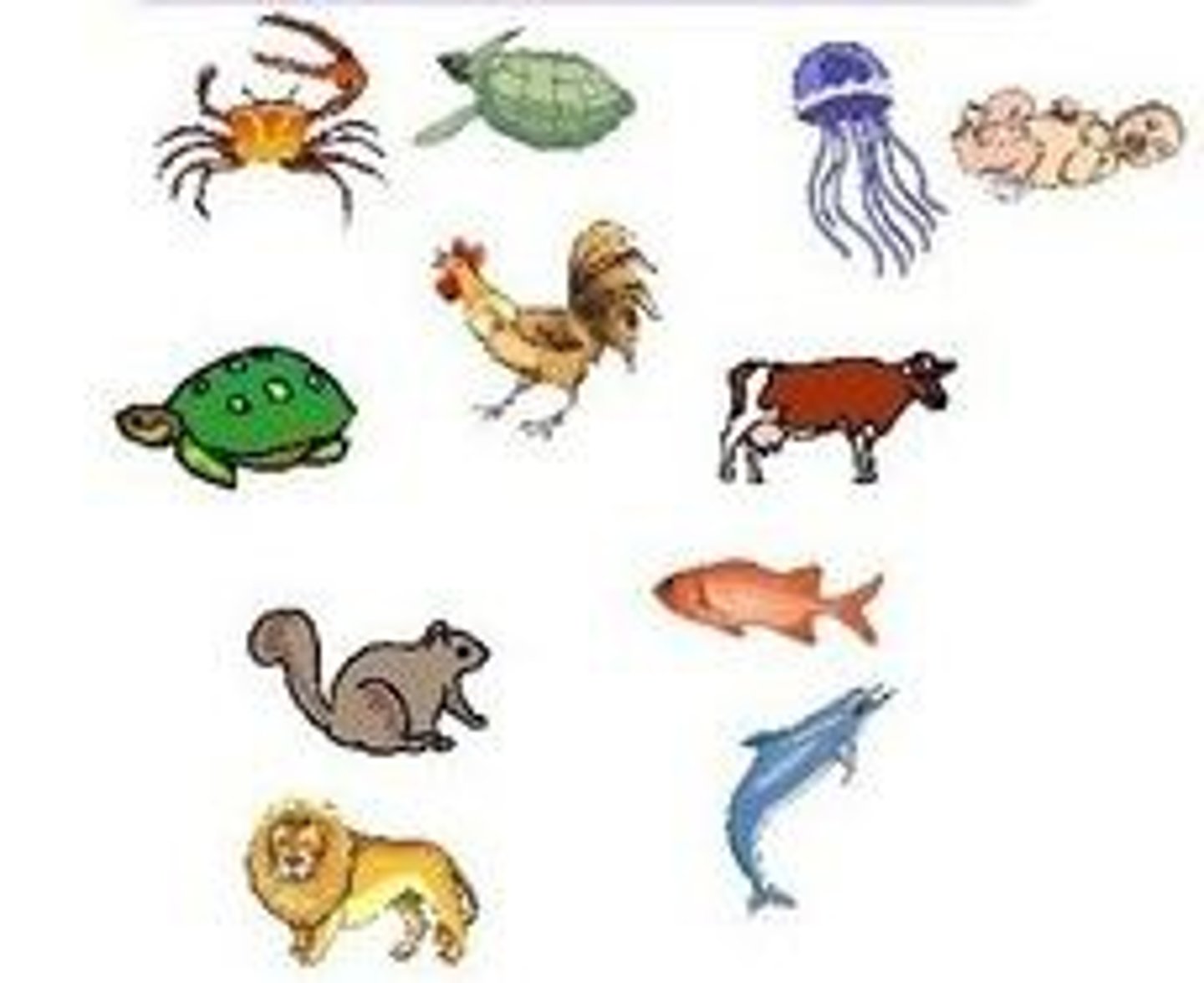 <p>Organisms that must obtain organic food from other organisms</p>