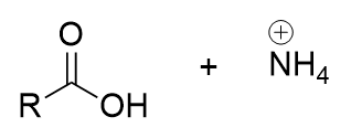 <p>carboxylic acid and ammonium; begins with protonation of nitrogen</p>