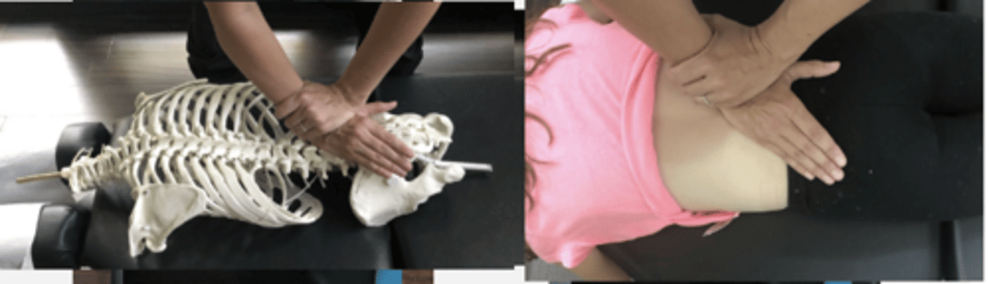 <p>PP: Prone-verbalize how you found the segment</p><p>DP: Square stance on side of contact</p><p>CH: Cephalad (R) hand, hypthenar (pisiform) on L3 SP with fingers crossing the spine</p><p>IH: Reinforces in anatomical snuffbox</p><p>LOD: P-A, L-M, S-I</p>