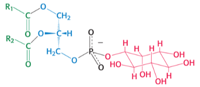 <p>which phospholipid is pictured ? </p>