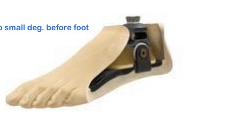 <p>-similar to single axis but uses inversion, eversion, &amp; torsion</p><p>-good for walking on uneven surfaces but is heavy</p>