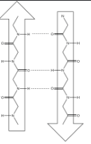 <ul><li><p>When two molecular strands are running side by side but in opposite directions</p></li><li><p>The most famous example is DNA, with its two strands going in opposite directions</p><ul><li><p>This is critical for the replication process of DNA as the two strands are complementary</p></li></ul></li></ul><p></p>