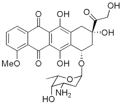 <p>adriamycine (doxorubicine)</p>