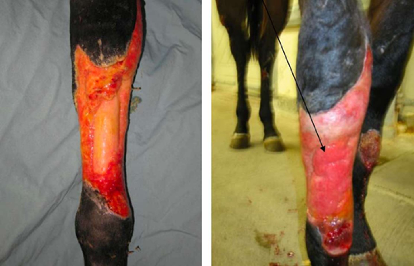 <p>What is shown here?</p>